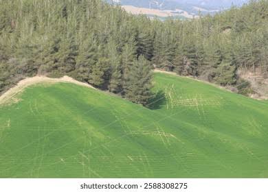 Slopes and rough terrain 3